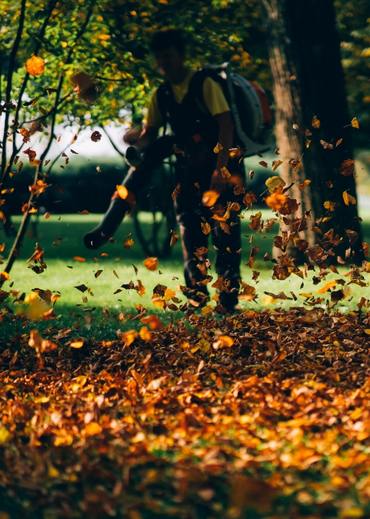 JB Services Junk Removal and Hardscape Team