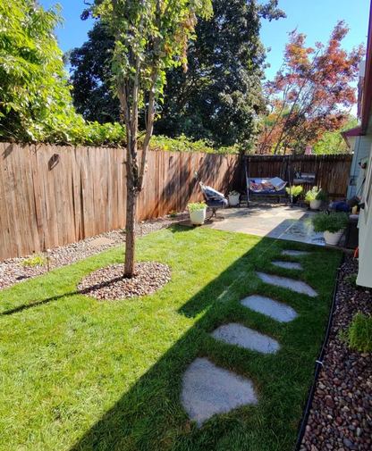 Landscaping and Maintenance